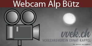 Webcam Alp Bütz