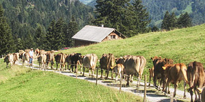 Alpbeizli Bütz beim Speer am Toggenburger Höhenweg
